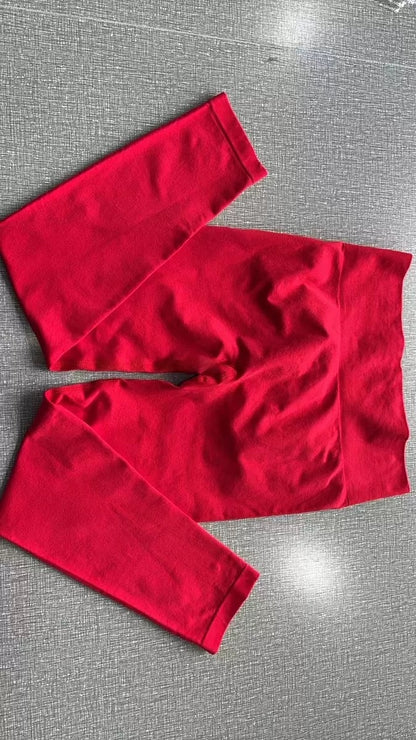 High Waist Seamless Yoga Fitness Leggings